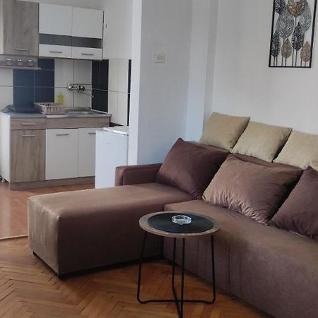 Apartment Mina Sokobanja Buitenkant foto