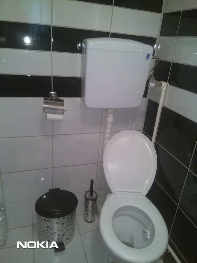 Apartment Mina Sokobanja Buitenkant foto